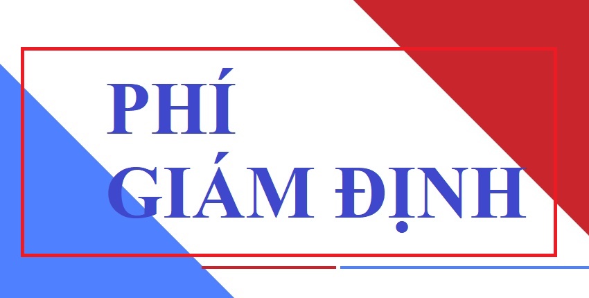 Phigiamdinh_phai
